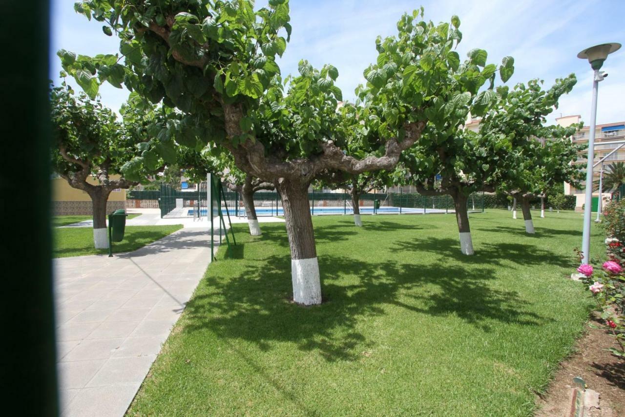 Carrer De Victoria Dels Angels, 11 Apartment ลาปีเนดา ภายนอก รูปภาพ
